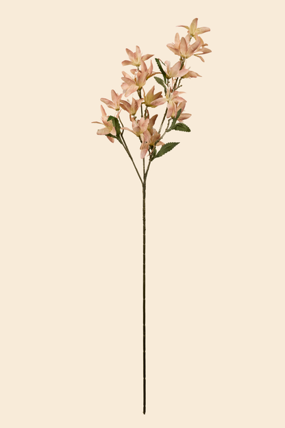 Faux Clematis Spray Star Flower Stem - Light brown