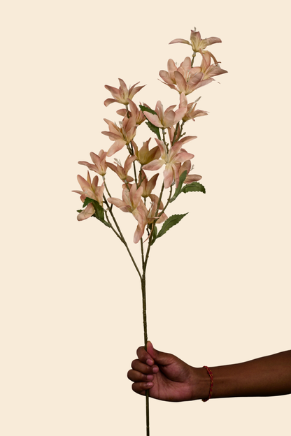Faux Clematis Spray Star Flower Stem - Light brown