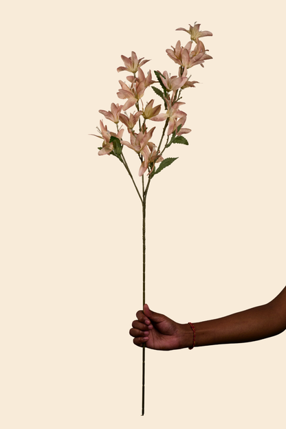 Faux Clematis Spray Star Flower Stem - Light brown