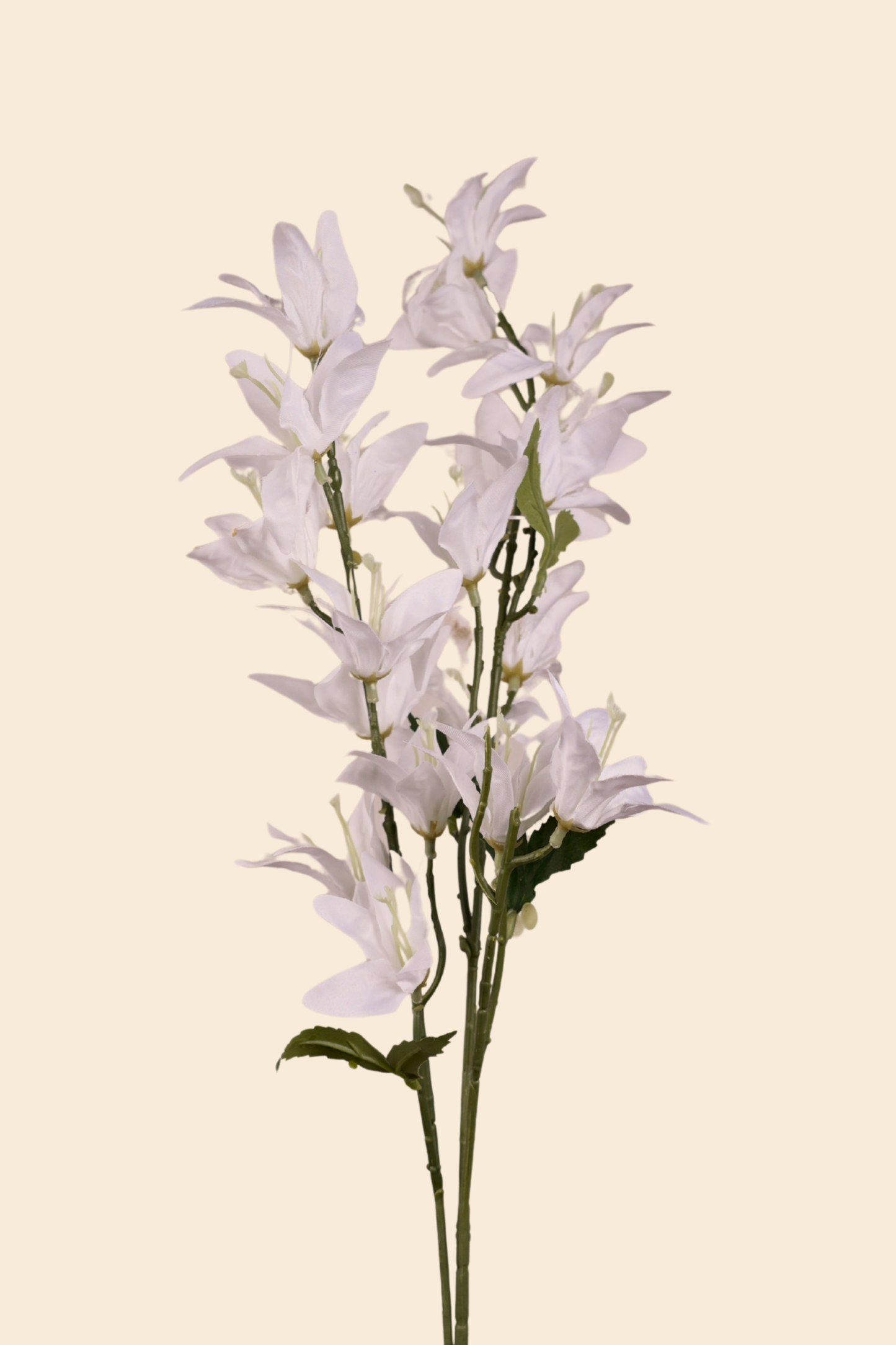 Faux Clematis Spray Star Flower Stem - White