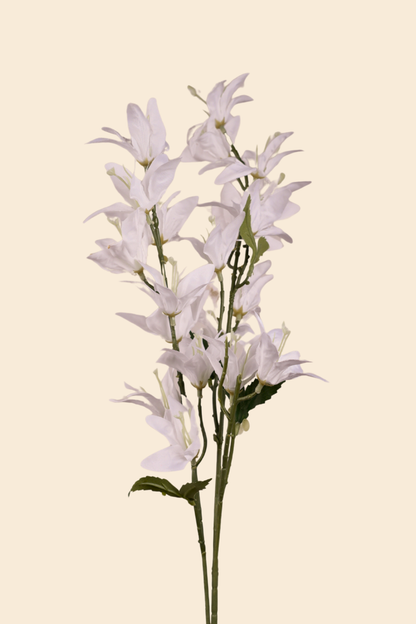 Faux Clematis Spray Star Flower Stem - White