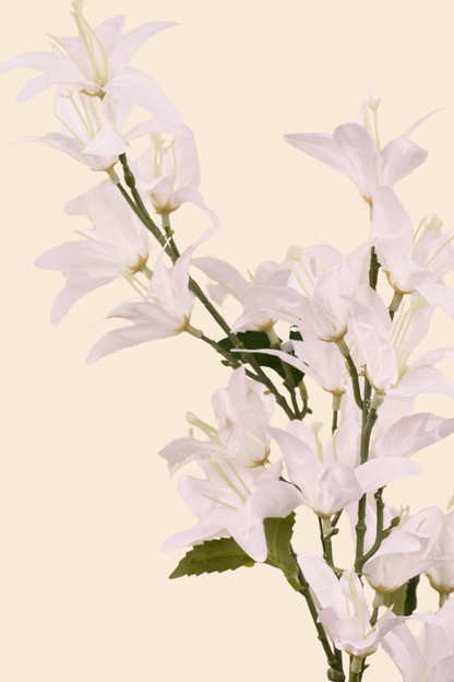 Faux Clematis Spray Star Flower Stem - White