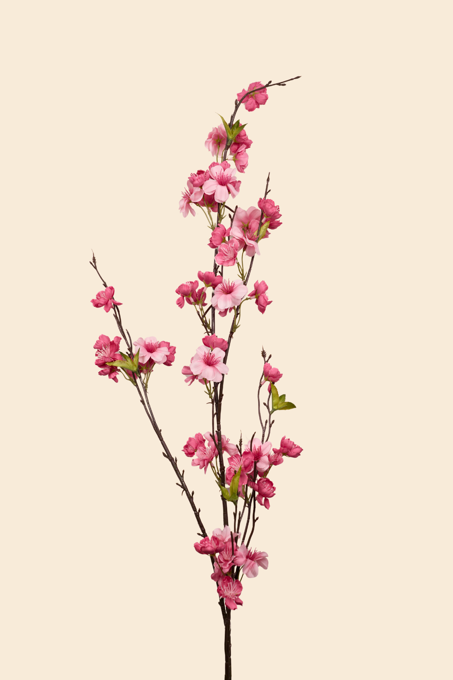 Faux Cherry Blossom Long Flower Stem - Pink