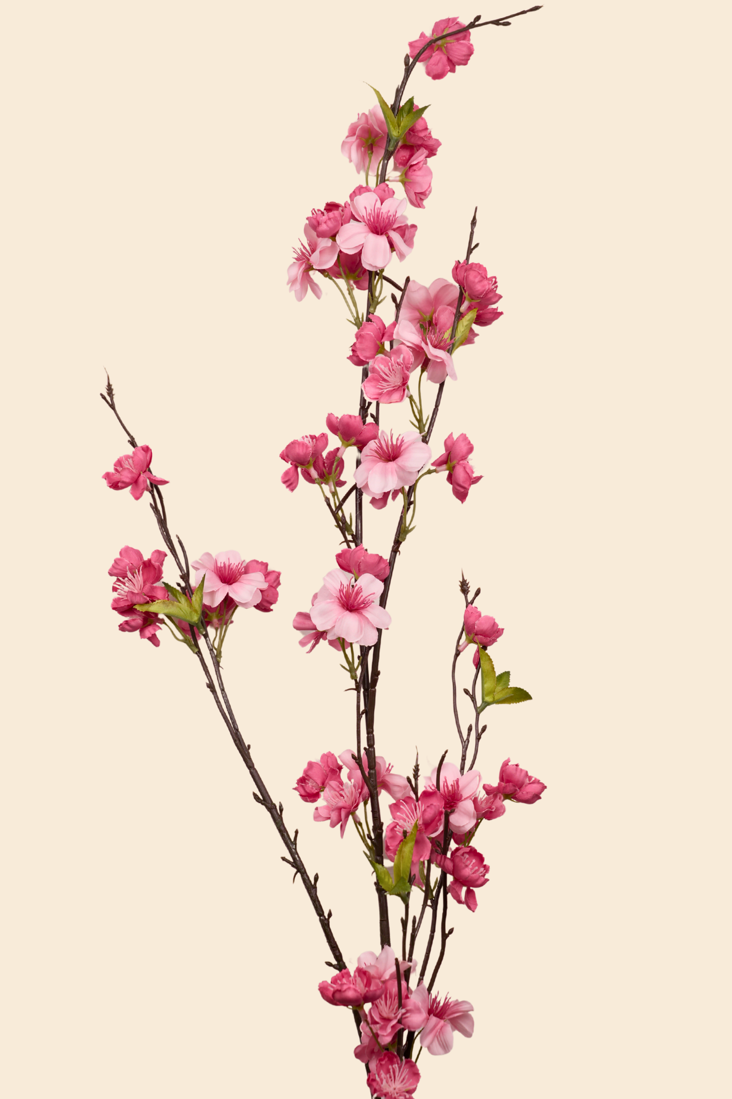 Faux Cherry Blossom Long Flower Stem - Pink