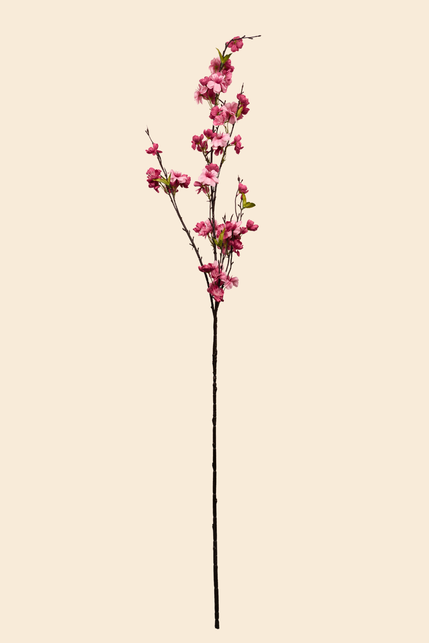 Faux Cherry Blossom Long Flower Stem - Pink