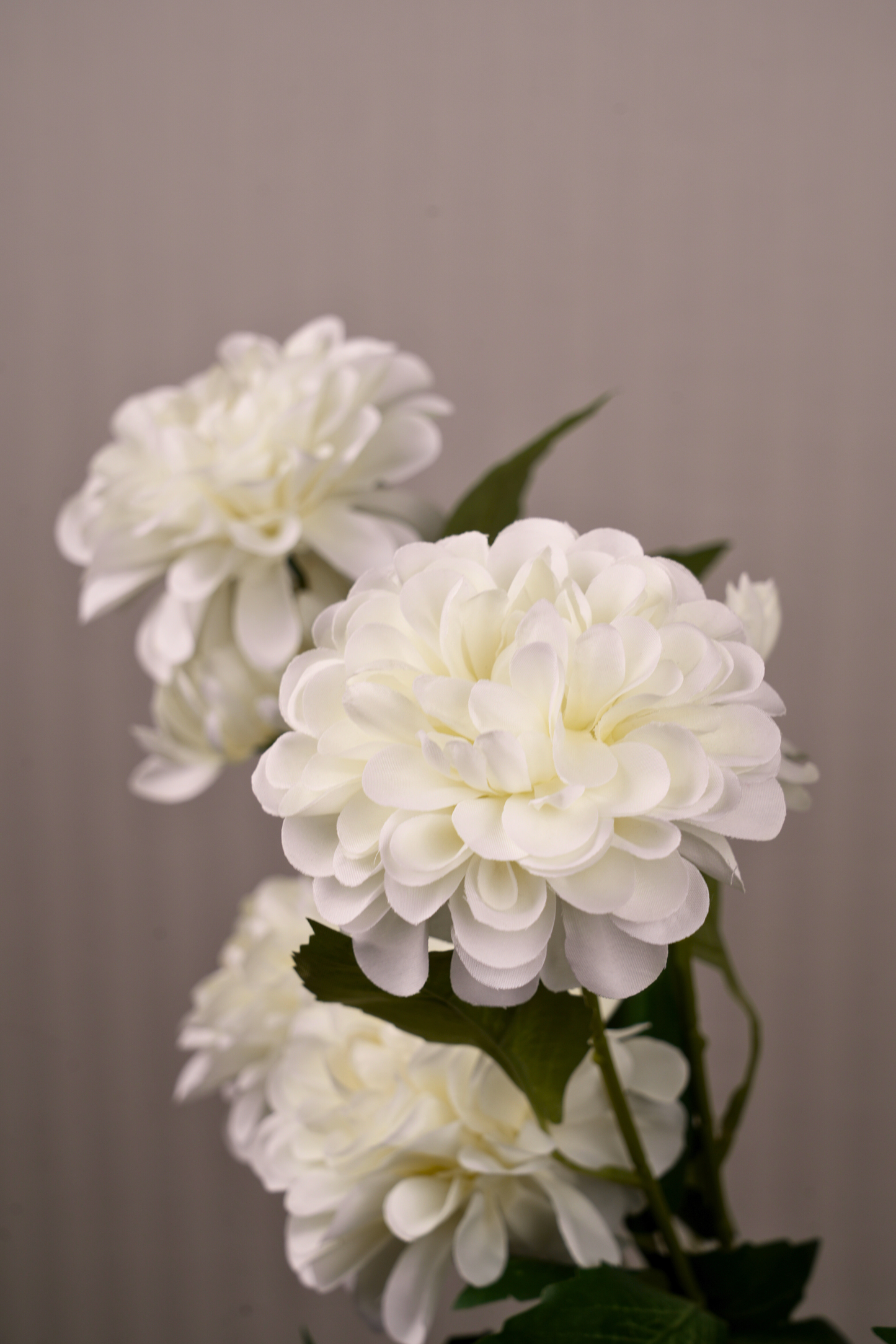 Faux Dahlia Pinnata Regal Flower Stem - White