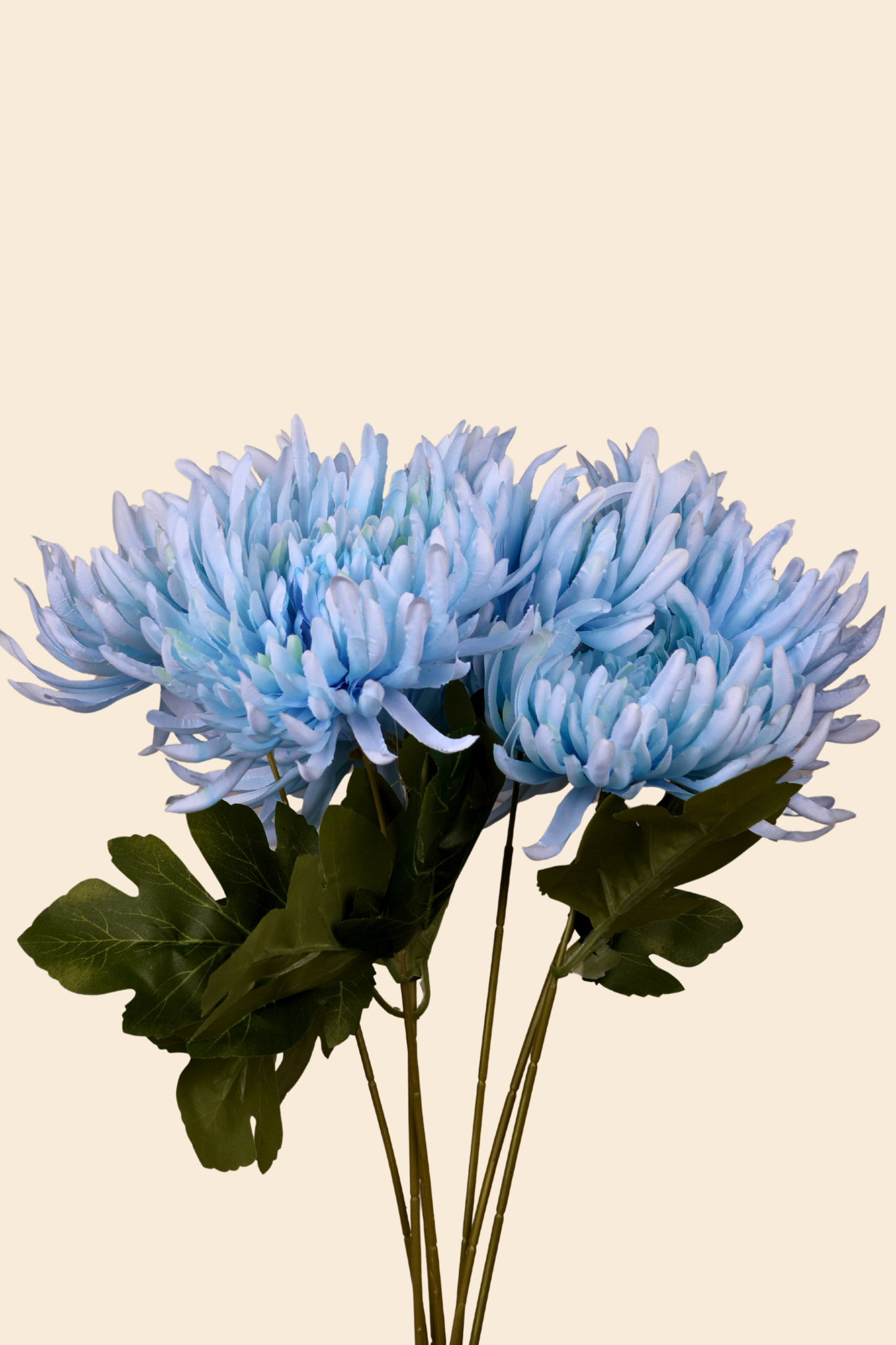 Faux Spider Chrysanthemum Majestic Flower Stem - Light Blue