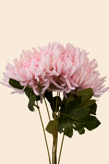 Faux Spider Chrysanthemum Majestic Flower Stem - Light Pink