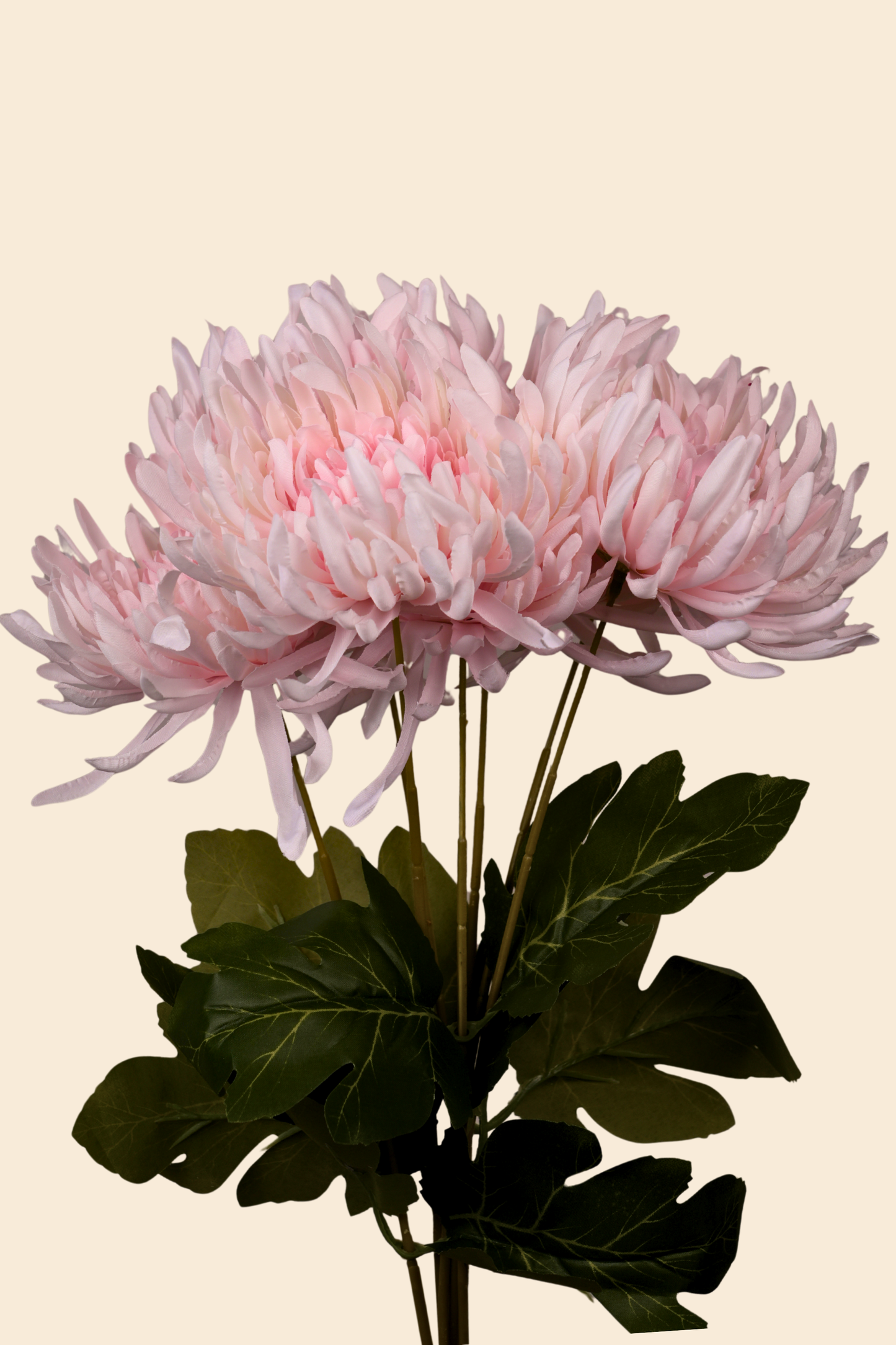 Faux Spider Chrysanthemum Majestic Flower Stem - Light Pink