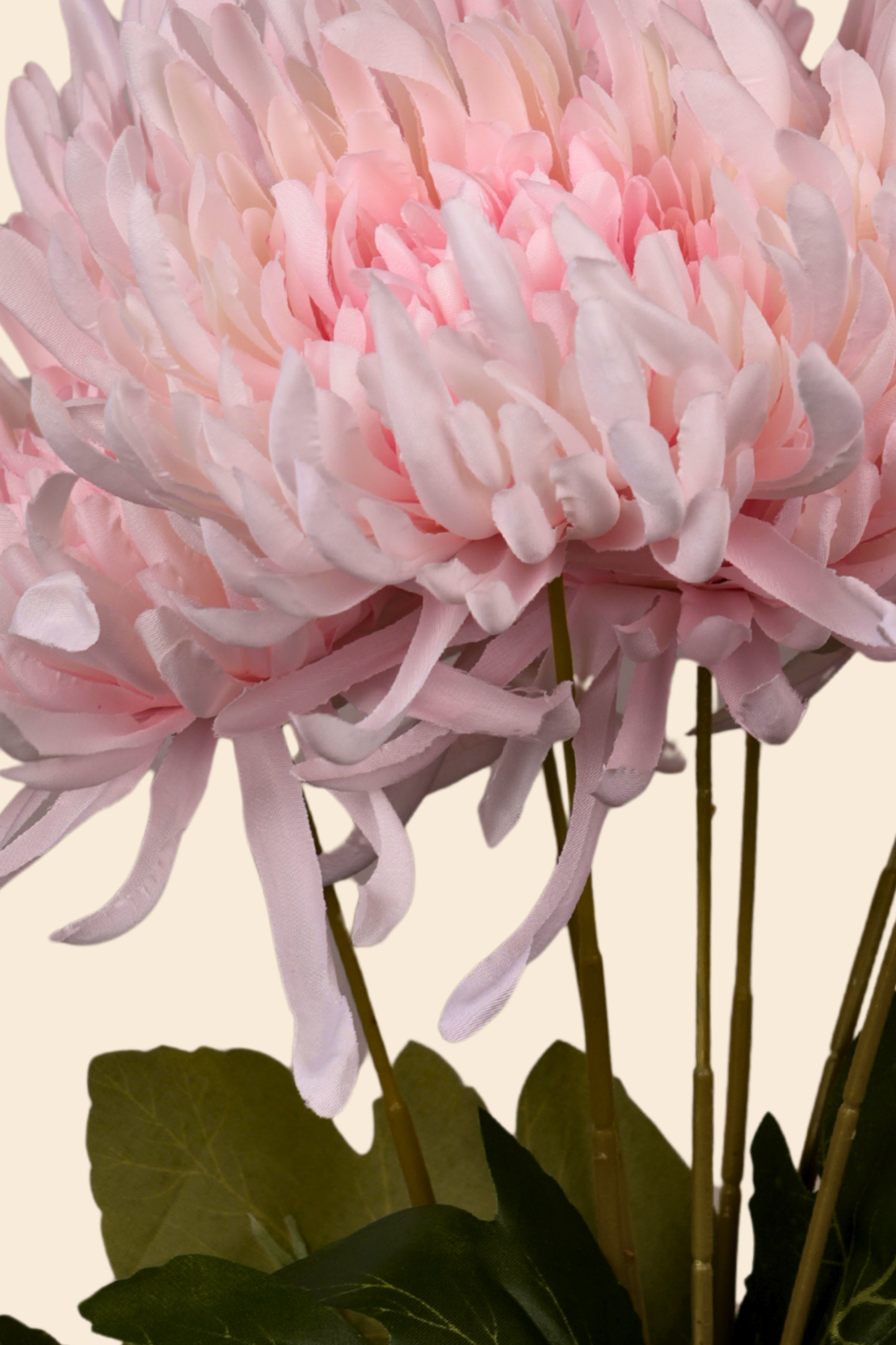 Faux Spider Chrysanthemum Majestic Flower Stem - Light Pink