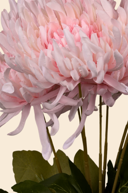 Faux Spider Chrysanthemum Majestic Flower Stem - Light Pink
