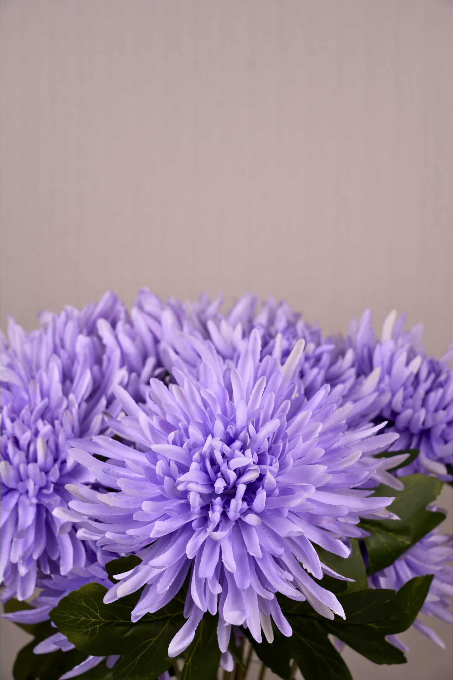 Faux Spider Chrysanthemum Majestic Flower Stem - Purple