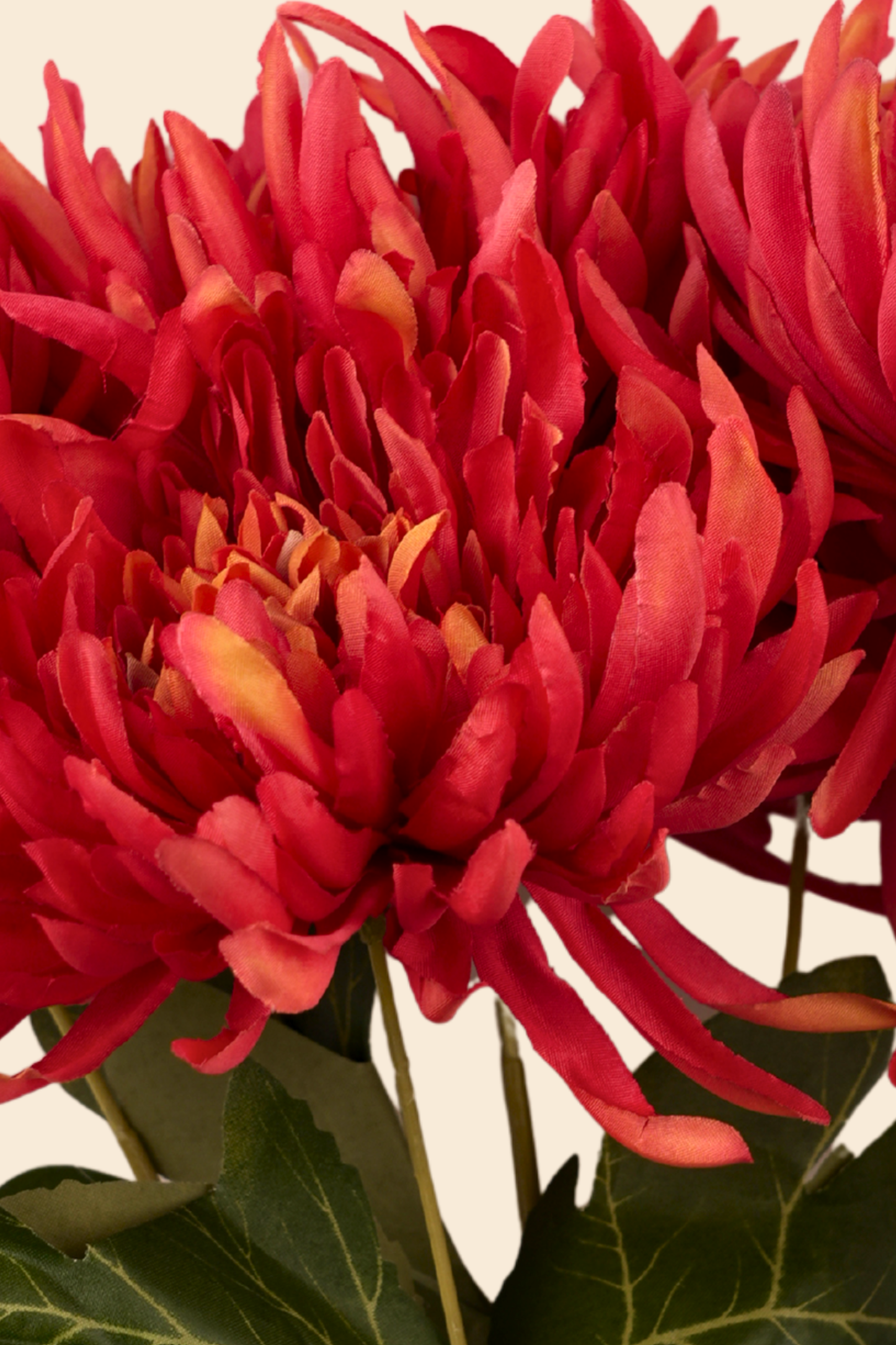 Faux Spider Chrysanthemum Majestic Flower Stem - Red