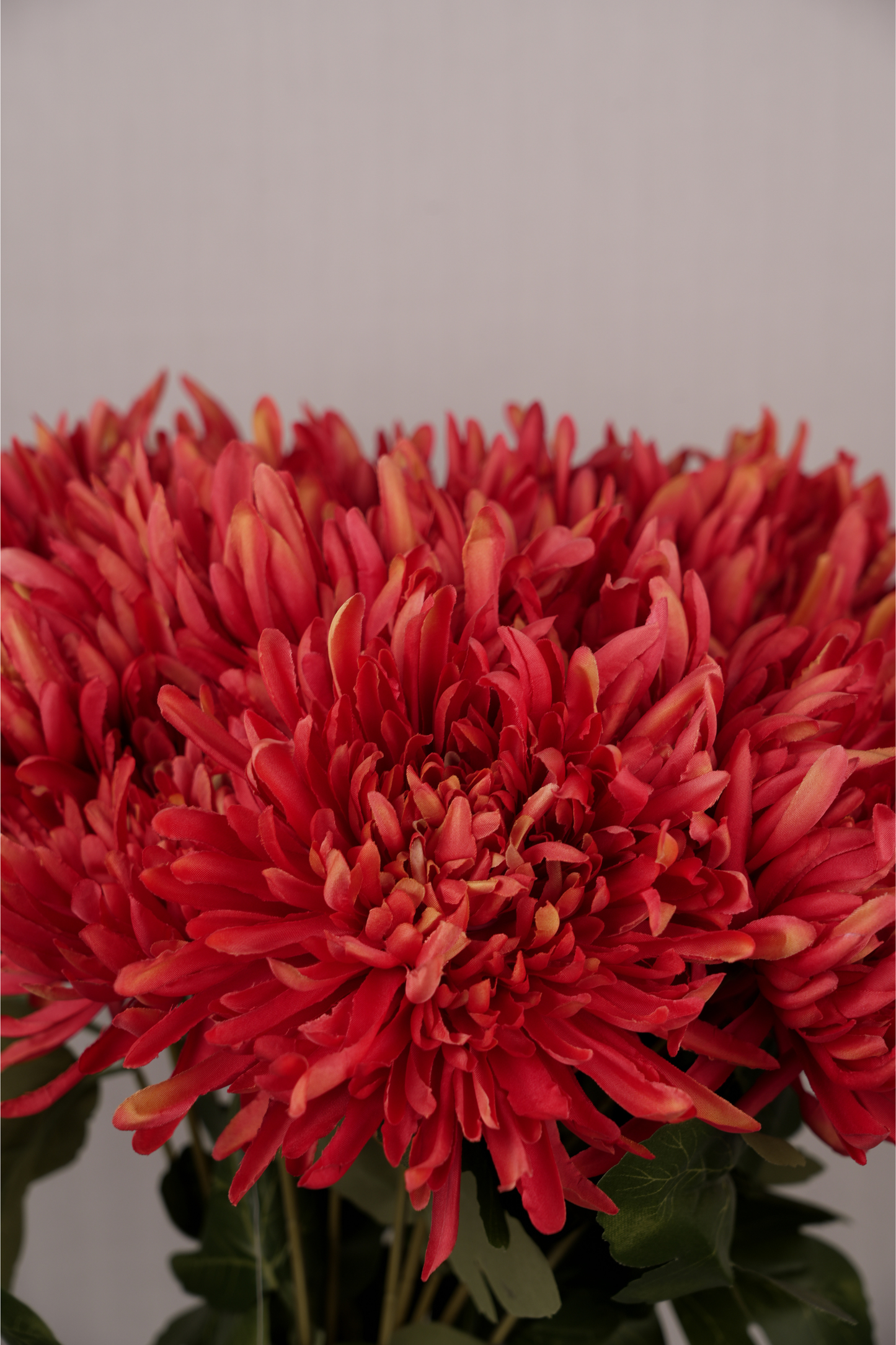 Faux Spider Chrysanthemum Majestic Flower Stem - Red