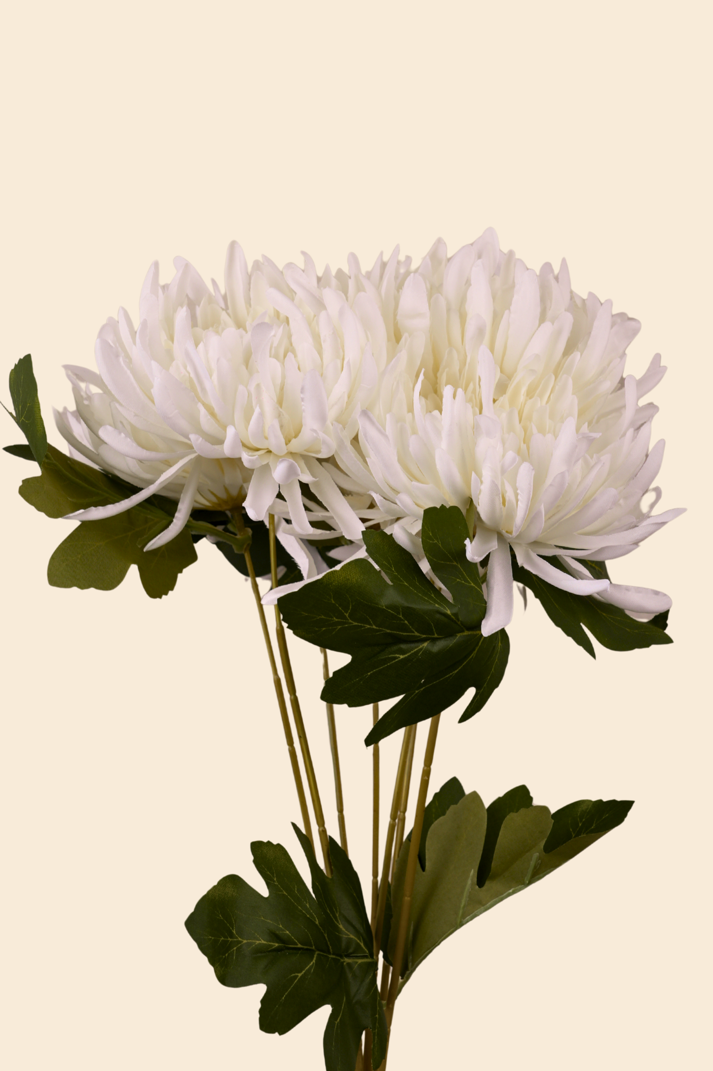 Faux Spider Chrysanthemum Majestic Flower Stem - White