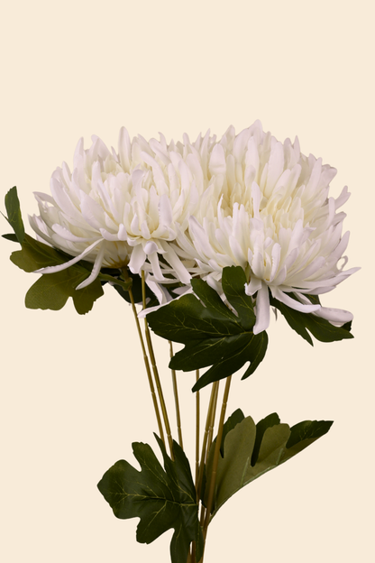 Faux Spider Chrysanthemum Majestic Flower Stem - White
