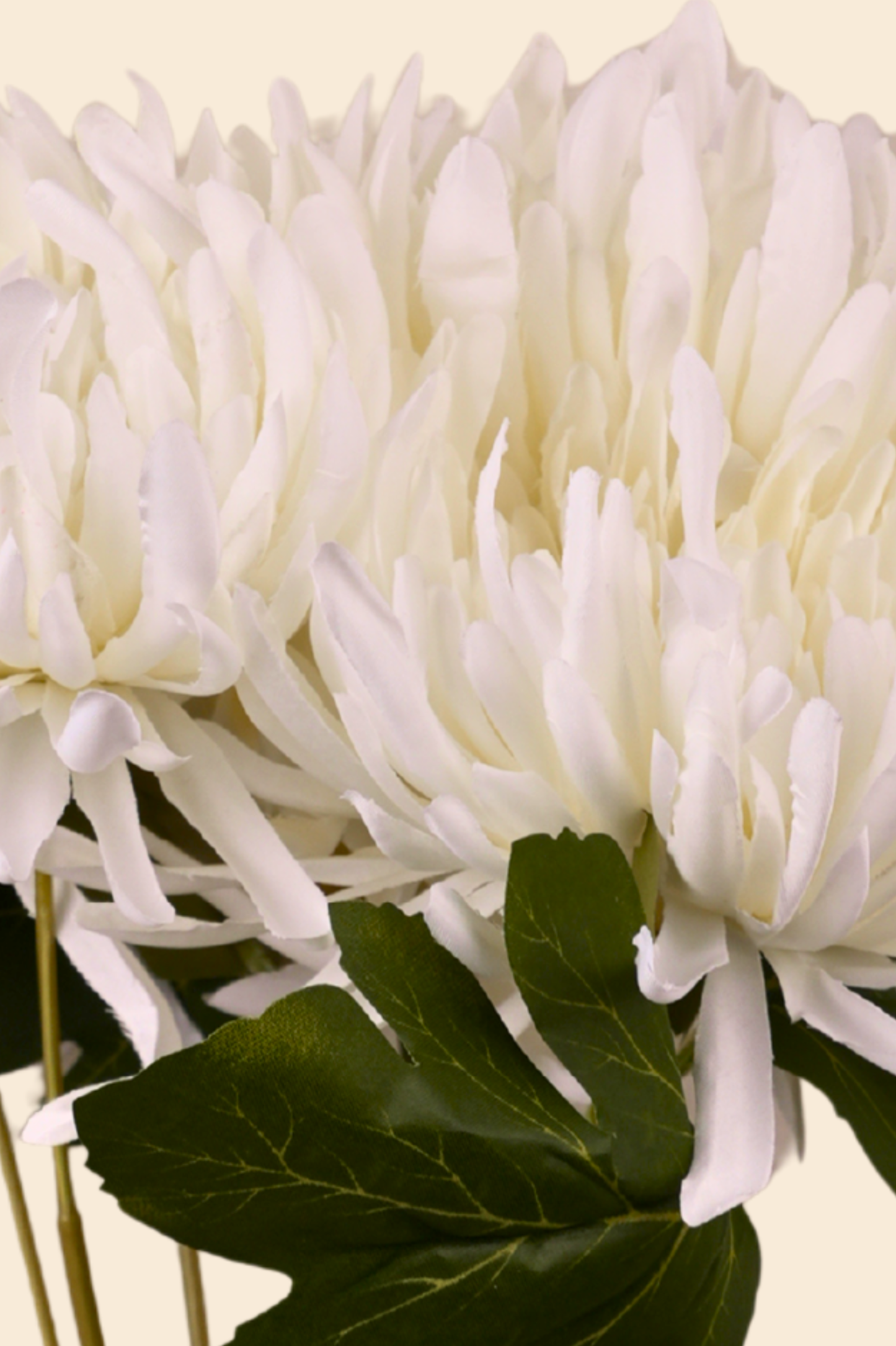 Faux Spider Chrysanthemum Majestic Flower Stem - White