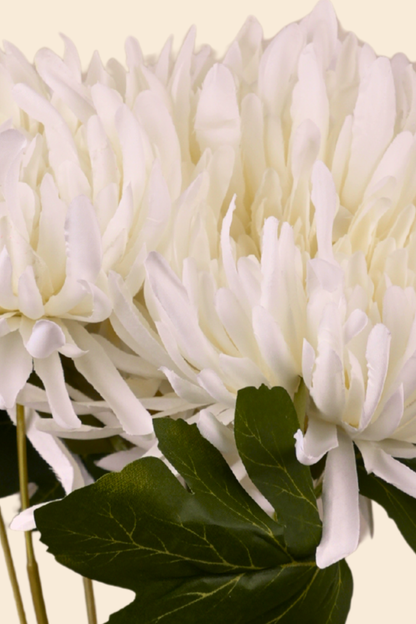 Faux Spider Chrysanthemum Majestic Flower Stem - White