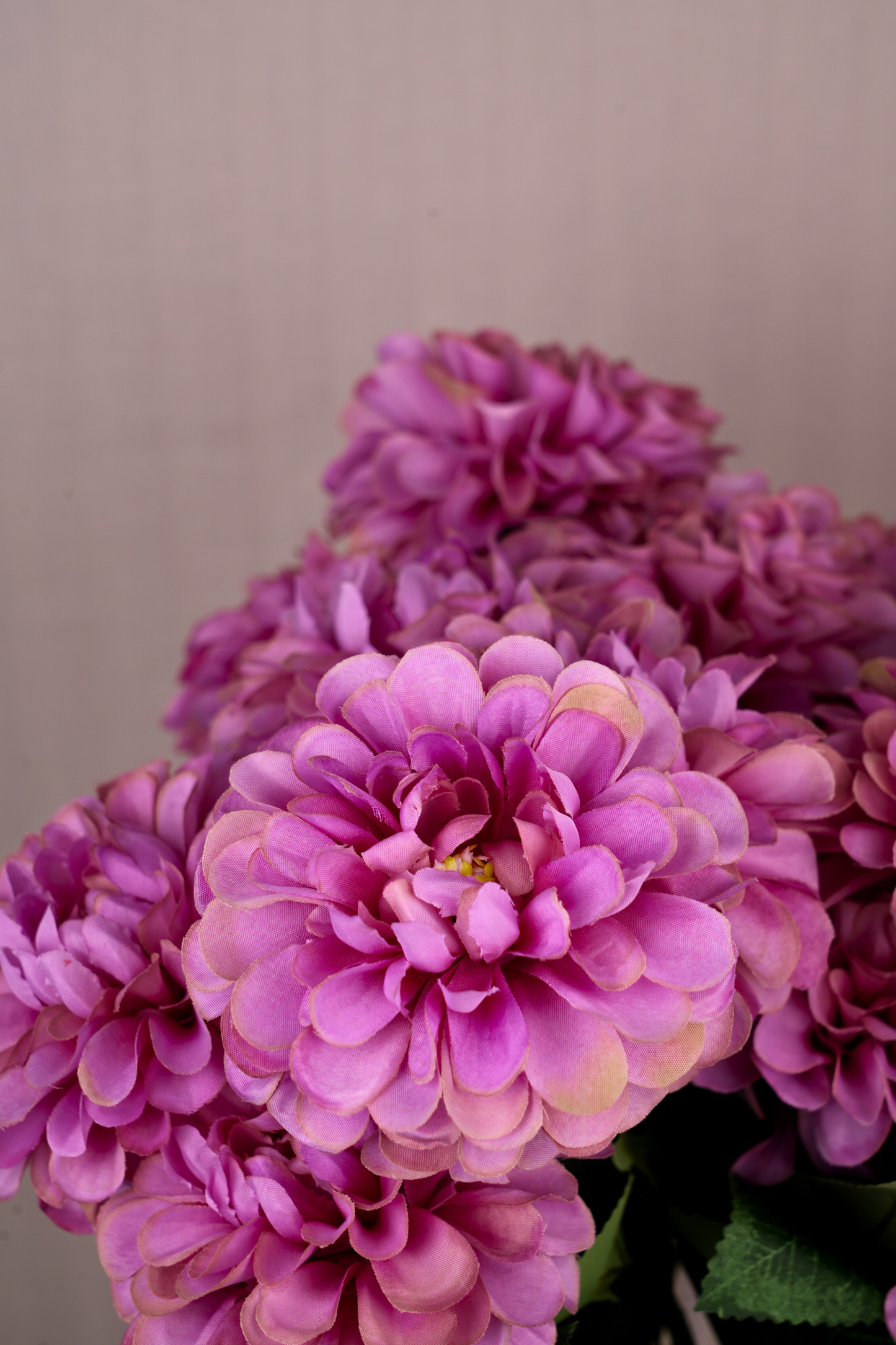 Faux Pompom Chrysanthemums Serene Flower Stem - Purple